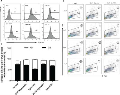 Notch signaling pathway involved in Echinococcus granulosus infection regulates dendritic cell development and differentiation